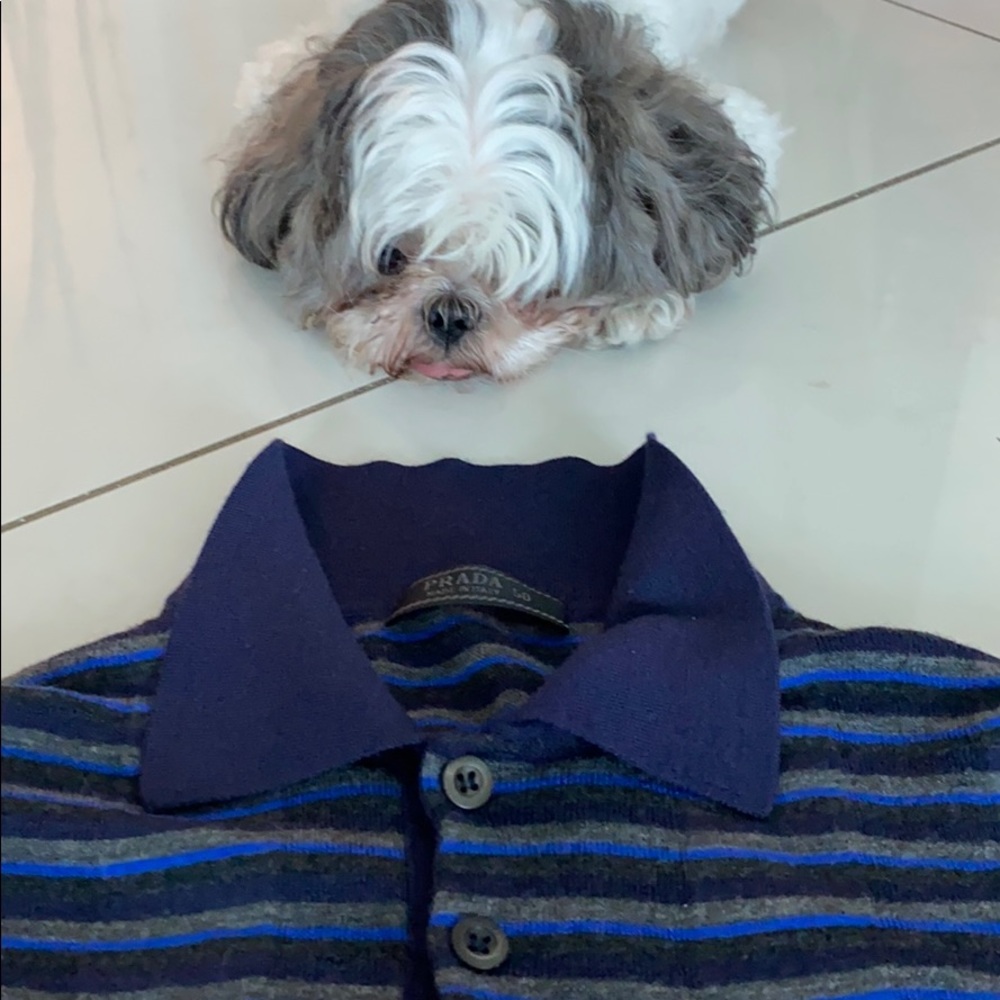 Prada knit polo